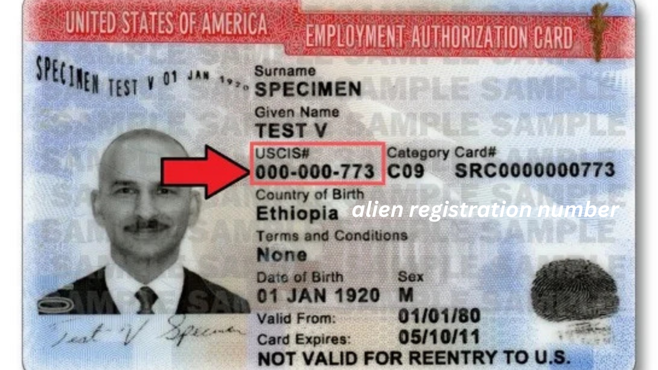 alien registration number